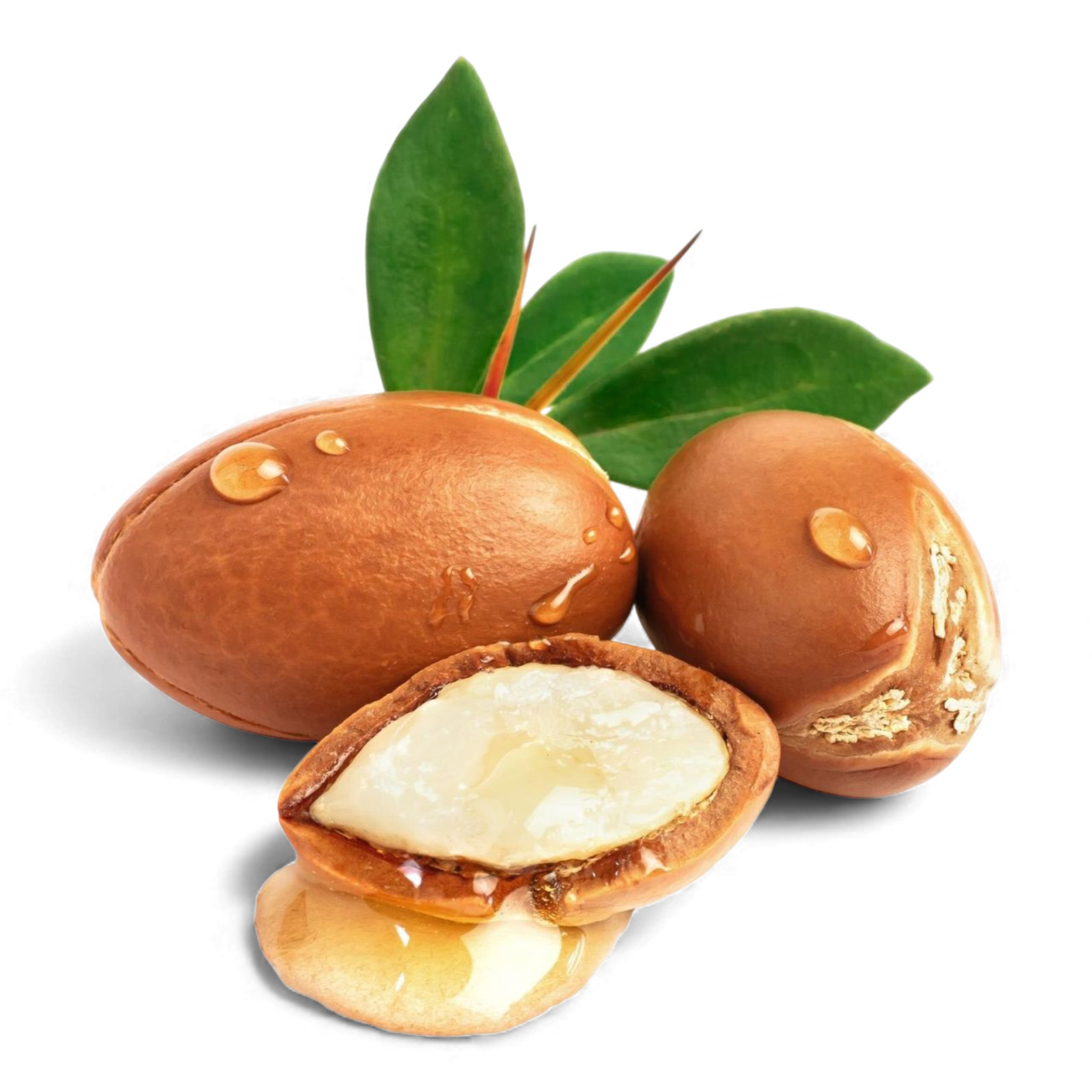 Argan