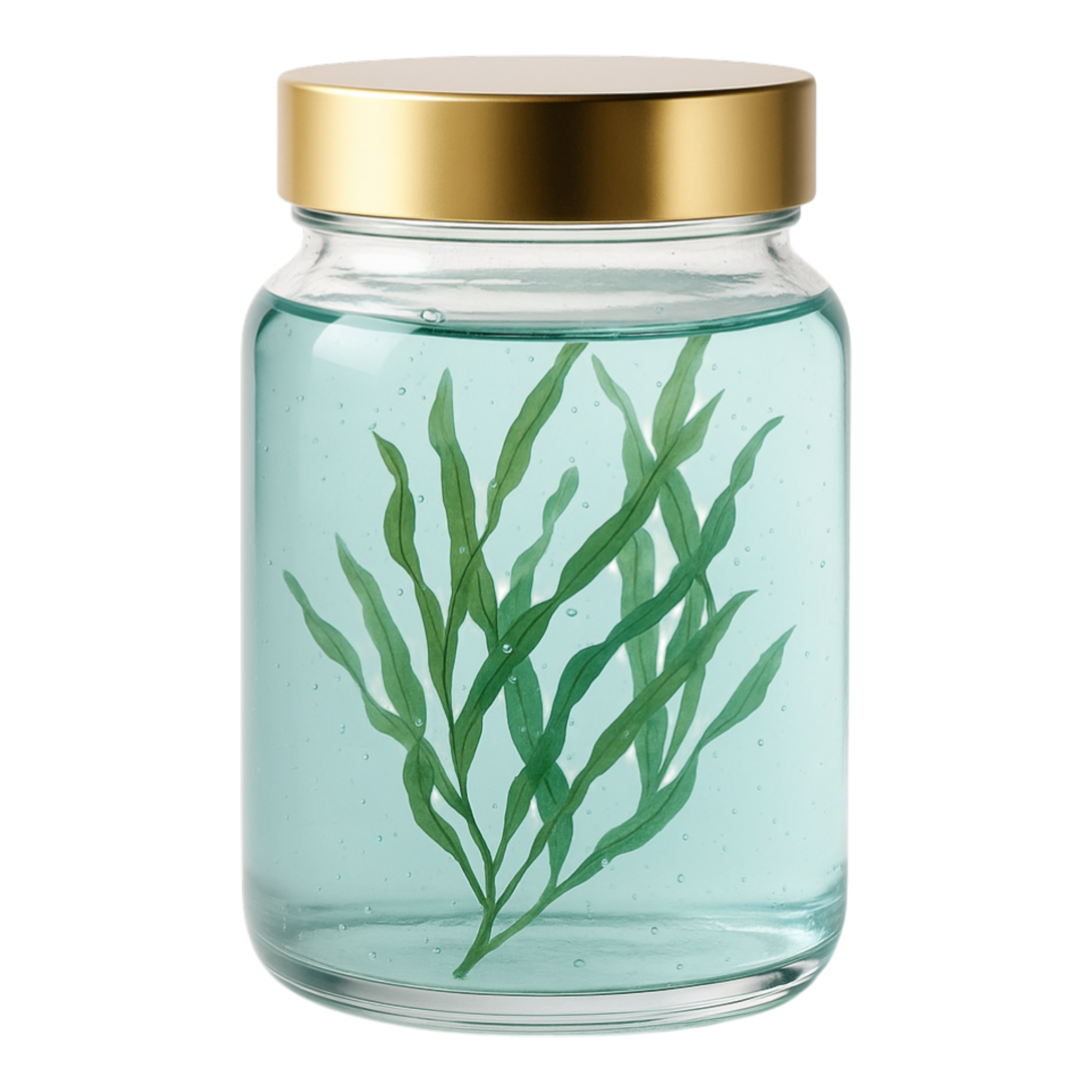  Ferment Marin Lissant