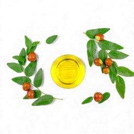 Jojoba