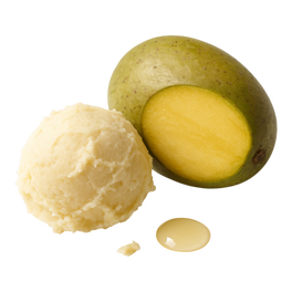 Mangue sauvage