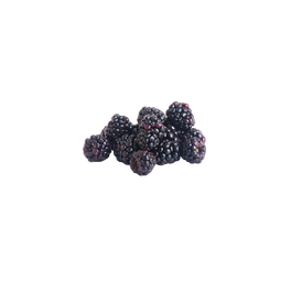 Mûre
