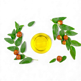Jojoba