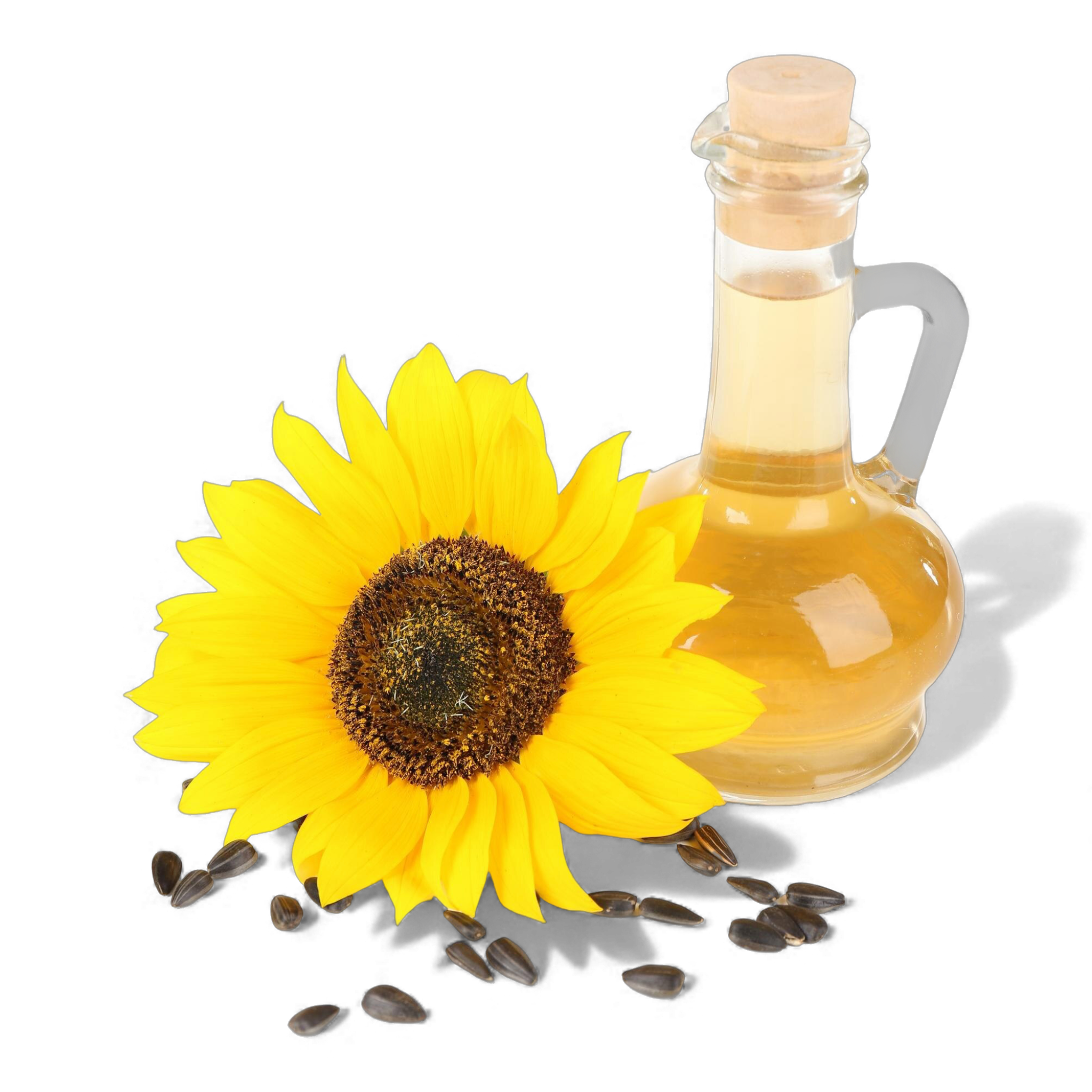 Tournesol