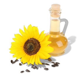 Tournesol