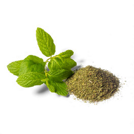 Menthe poivrée