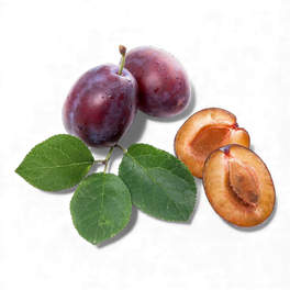 Prune