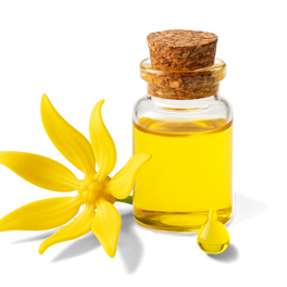 Ylang-ylang